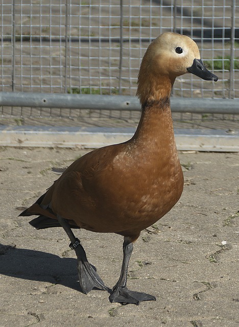 体能状态和