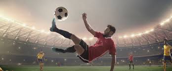 帕金斯的观 帕金斯的观